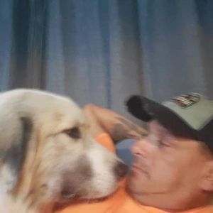 Meet your Posher, Dale